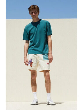 Pacsun Less Fear Printed Volley Shorts - Men’s